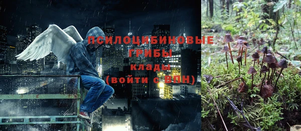 молекула духа Алексин