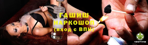 молекула духа Алексин