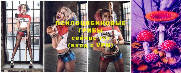 дмт Кодинск