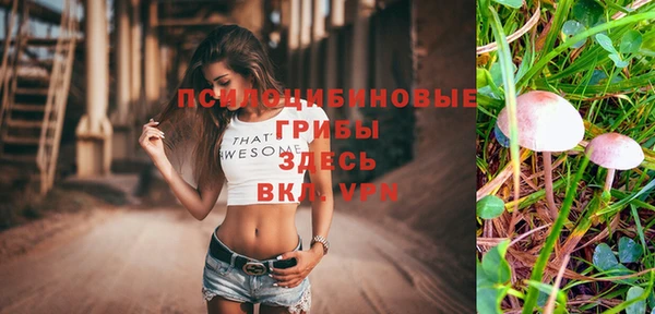 индика Корсаков