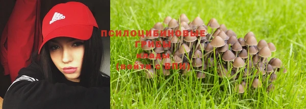 меф Козельск
