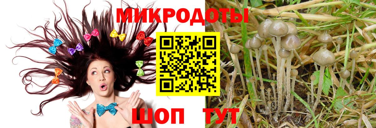 Псилоцибиновые грибы MAGIC MUSHROOMS  Вход с VPN  Тосно  Галлюциногенные грибы MAGIC MUSHROOMS 